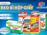 IN HỘP GIẤY