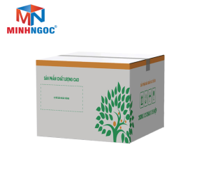 THÙNG CARTON