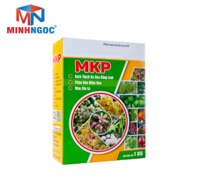 HỘP GIẤY