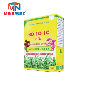 HỘP GIẤY