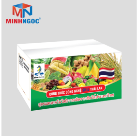 THÙNG CARTON