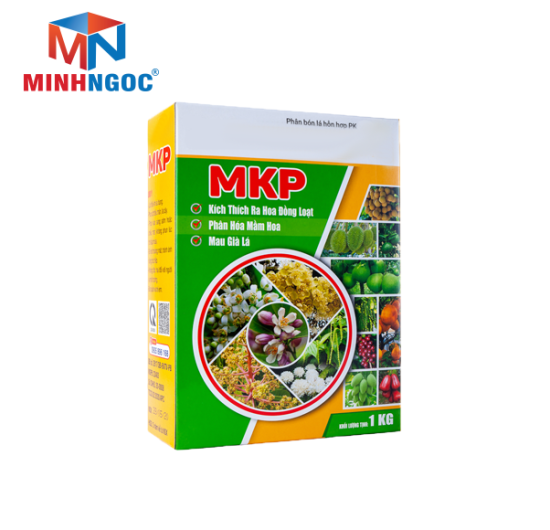 HỘP GIẤY